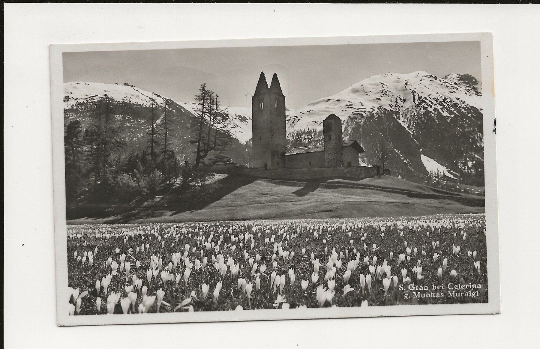 Cartoline postali: AK 1947 San Gian bei Celerina GR – Usato da Greifensee venduto da 315WDO
