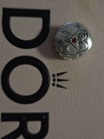 Pandora Charms