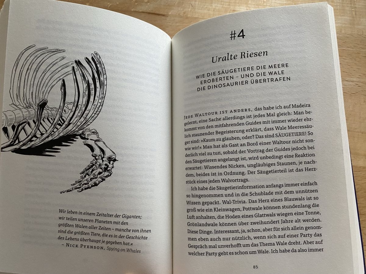 Bücher: Walfahrt - Oliver Dirr – Gebraucht aus Schwarzenburg von Michellu 6