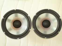 Paar Tieftöner 12 Zoll (30cm) 8 Ohm