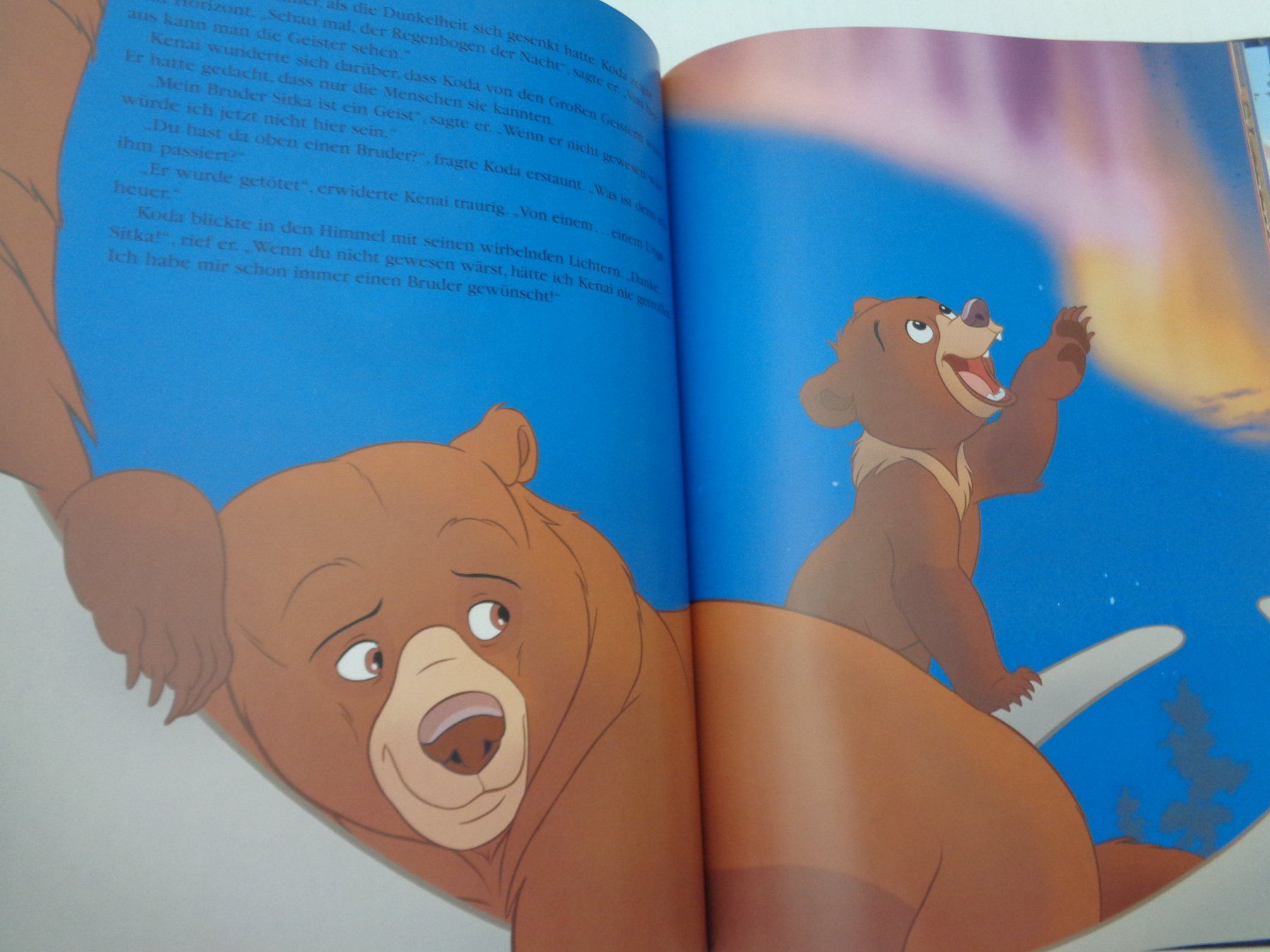Libri: Disney - Bären Brüder – Usato da Chur venduto da Oregano1 6