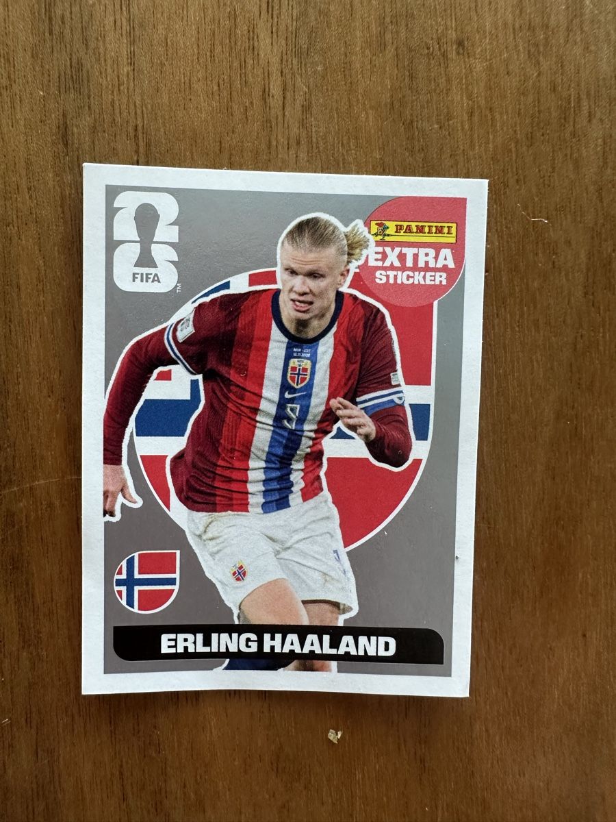 Panini Carte collezionabili: PANINI WM 2026 extra silber Erling Haaland – Nuovo (secondo la descrizione) da Zumikon venduto da Anne_Henke
