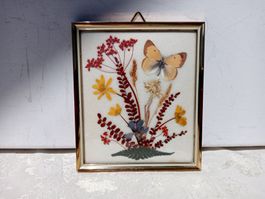 Bild Schmetterling & Trockenblumen Goldrahmen gewölbtes Glas