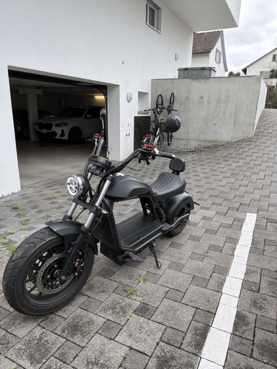 Veicoli elettrici: Cruiser 6.0 – Usato da Menziken venduto da NikollaG 1