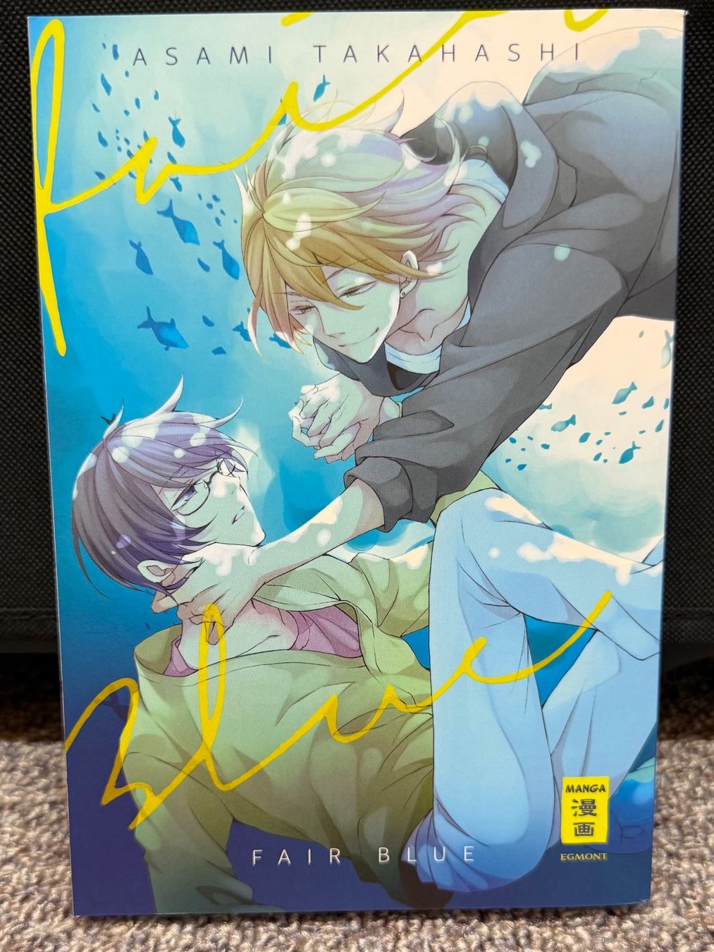 Fumetti: BL Manga: Fair Blue – Nuovo (secondo la descrizione) da Triesen venduto da cla_q2js