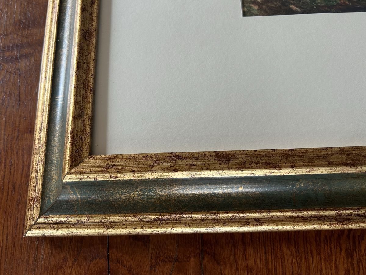 Poster & Bilder: Bild , Aquarell, gerahmt – Gebraucht aus Riedholz von Frettchen63 4