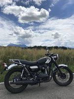 Kawasaki W 800 Special Edition