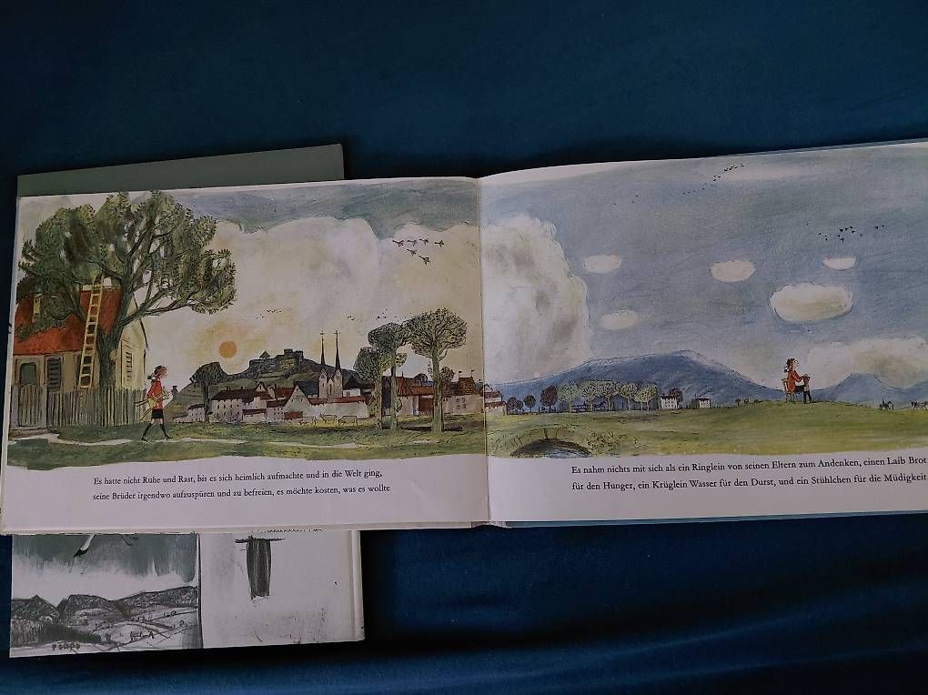 Libri: Die sieben Raben / Dornröschen. 2 Bücher – Usato da Zollikerberg venduto da Inhal 3