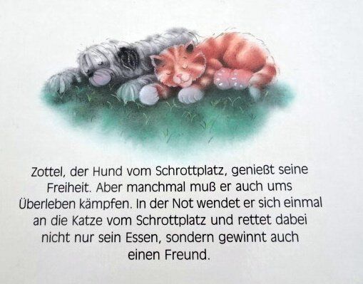 Bücher: Zottels Hundeleben Marcus Pfister – Gebraucht aus Wetzikon ZH von strubeli024 3