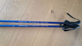 Teleskop-Nordic-Walking-Fitness Stöcke 