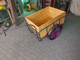Veloanhänger 22