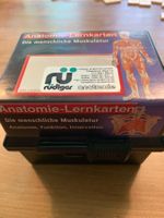 Lernkarten Anatomie