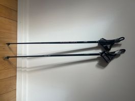 Carbon Stöcke 100cm