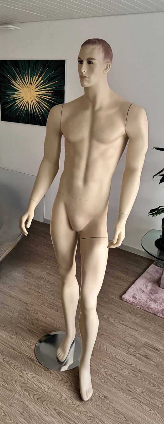 Altro in Decorazioni & Accessori: Schaufensterpuppe männlich – Usato da Horw venduto da adler65