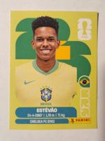 Panini 2026 Estevao BRA 20