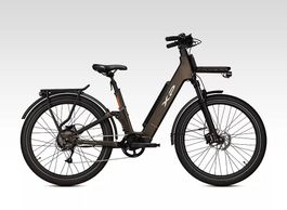 Elettrica 48V Batteria da 720Wh XP SUV CITY