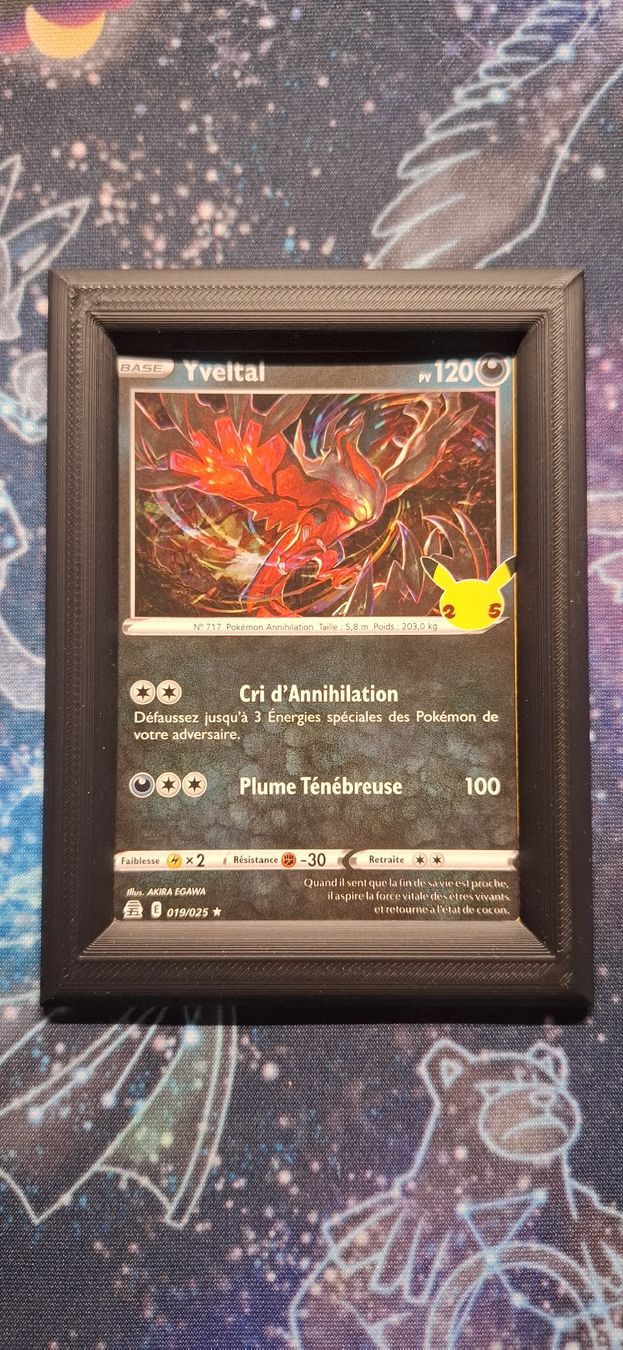 Pokémon Cartes à collectionner: Yveltal Célébration 25th Stamp - 019/025 FR – D'occasion à Petit-Lancy par Kara_TCG