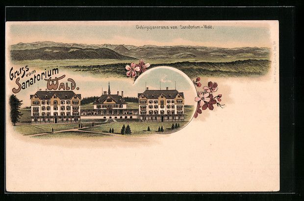 Cartoline postali: Litho Wald, Sanatorium Wald, Gebirgspano – Usato da Berlin venduto da bartko-reher