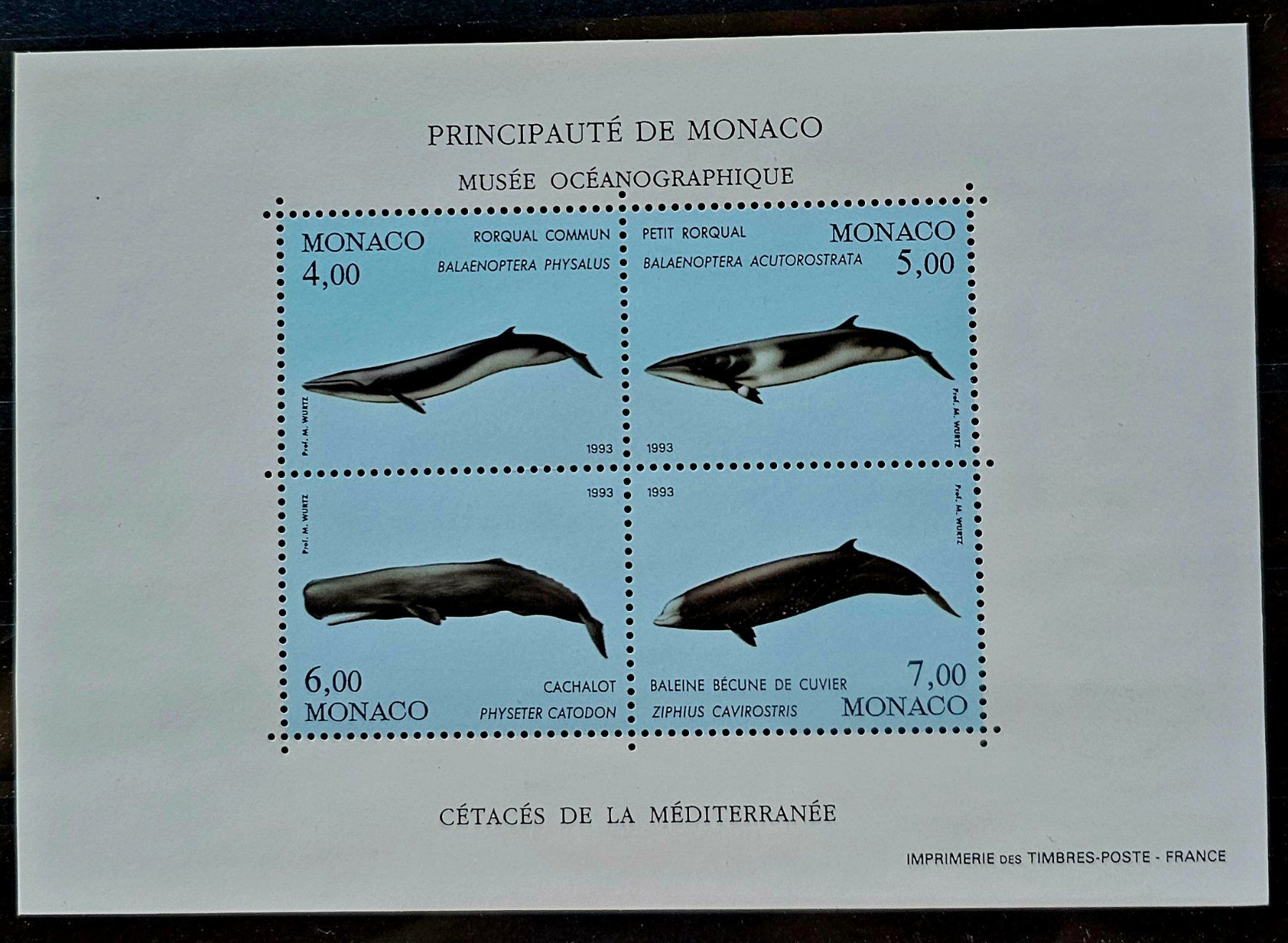 Alle Briefmarken: MONACO Bloc ** Musee Oceanographique - Cétacés, 1993 – Neu (gemäss Beschreibung) aus Les Valettes von Nuba1