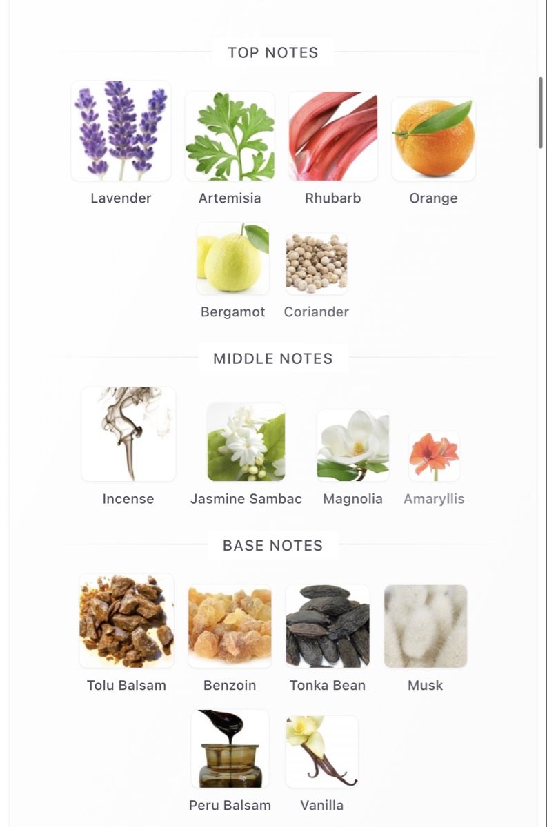 Profumi & Eau de Toilette: Amaryllis Bianco Panama 1924 – Nuovo (secondo la descrizione) da Winterthur venduto da Selinnn 5