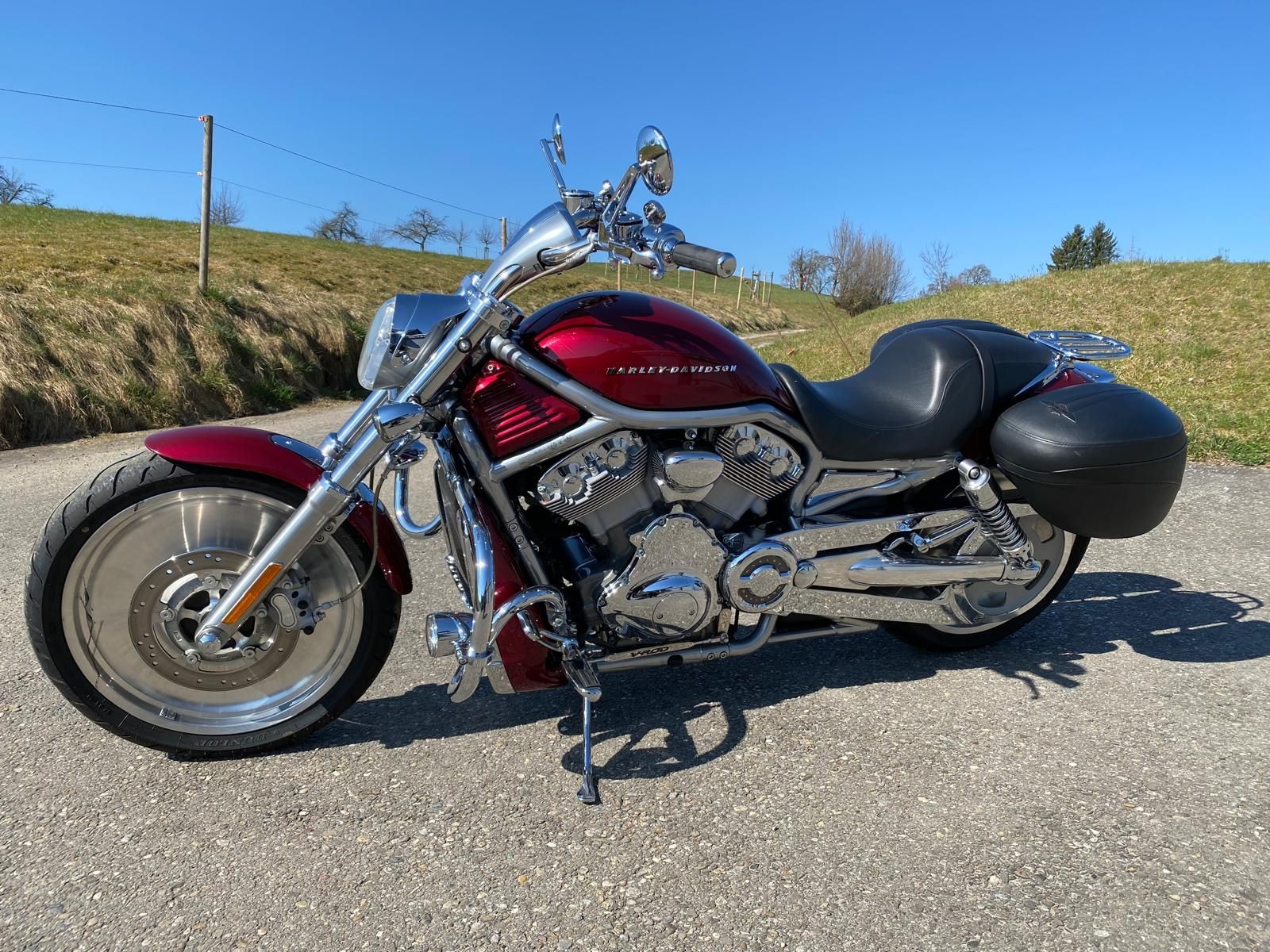 Harley-Davidson Chopper: Harley-Davidson V-Rod A Motorrad rot / grau – Gebraucht aus Zuckenriet von Res. 1