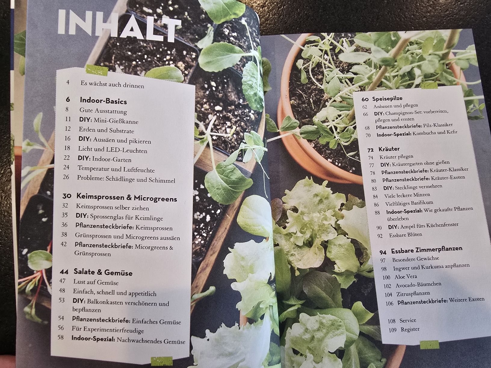 Libri: INDOOR-ERNTE - Es geht auch EINFACH! – Nuovo (secondo la descrizione) da St. Gallen venduto da charly92 2
