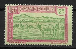 Kamerun 1925: Rinder durchqueren einen Fluss