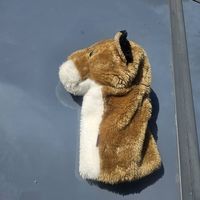 Cover Driver Puma