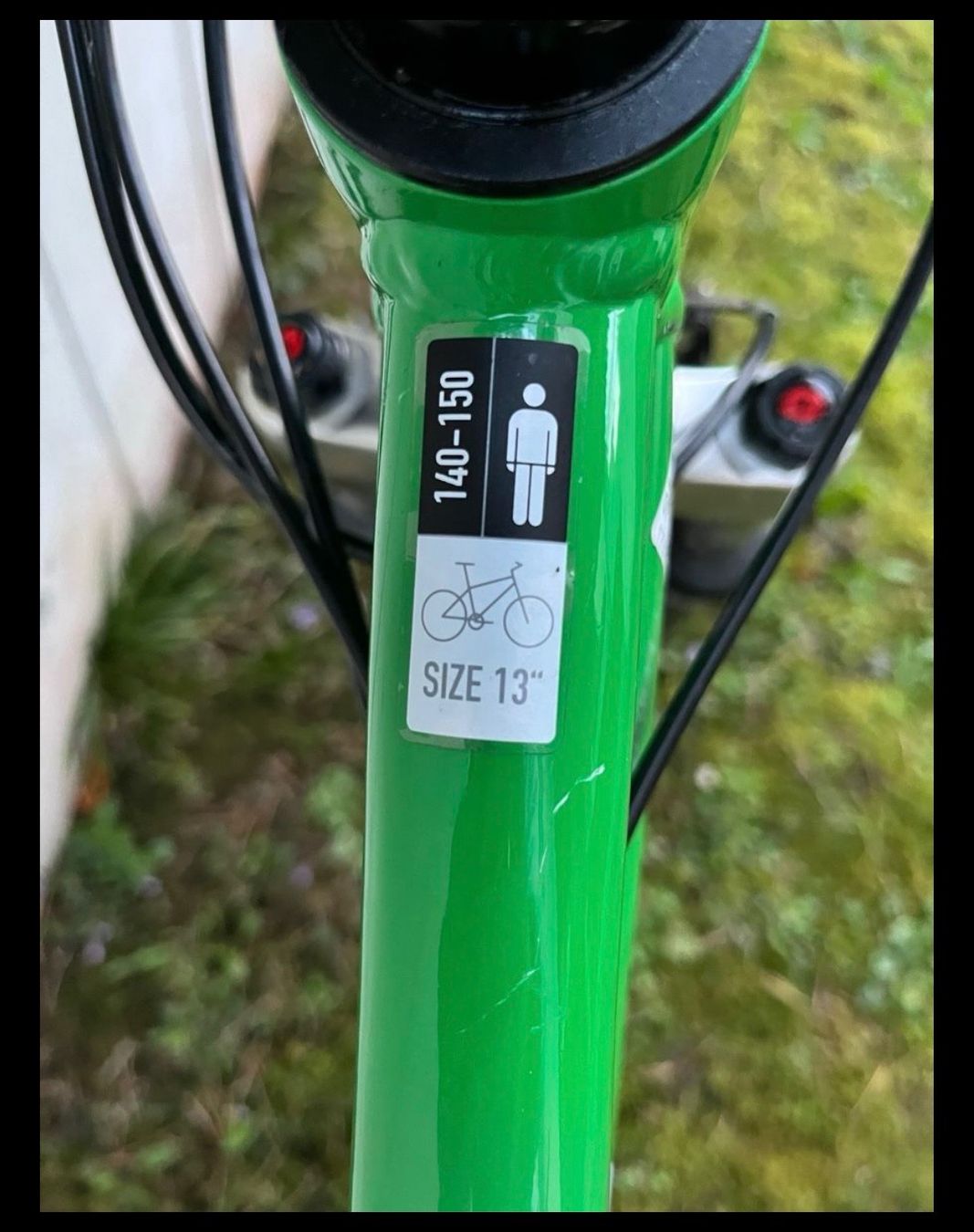 Wheeler Biciclette: Wheeler Jugend Mountain Bike – Usato da Thalwil venduto da mawueth 2