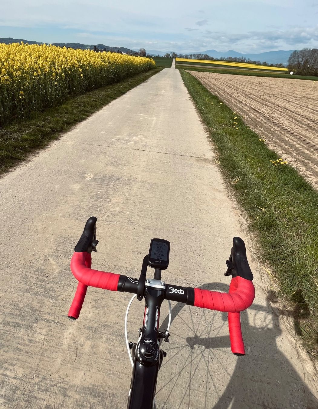 Velos: Vélo de route Tesag dedaccai carbone 58cm – Gebraucht aus Estavayer-le-Lac von Shampou46 2