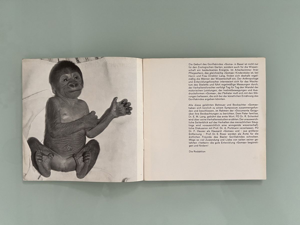 Bücher: Goma Geigy 4 Booklets – Gebraucht aus Renens VD von ale_q6bz 9