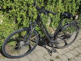 Velo Bergamont Trekking Damenfahrrad gebraucht