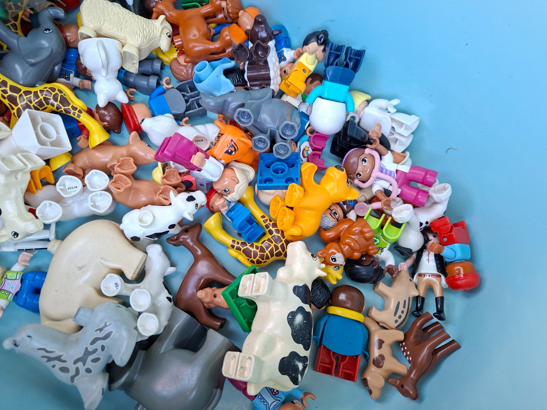 Lego Giocattoli: lego duplo – Usato da Nuglar venduto da ribery1989 6