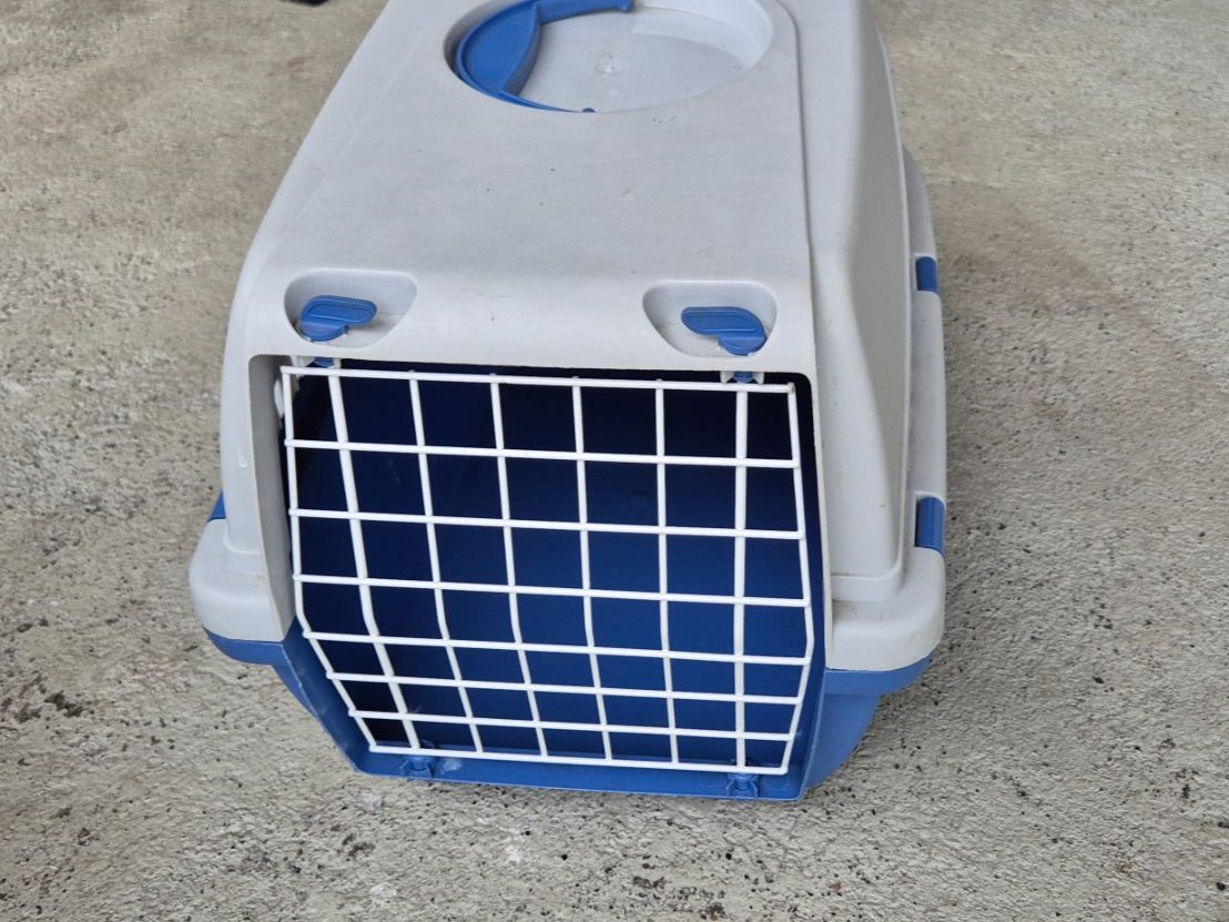 Cucce & Letti: Katzen Transportkiste – Usato da Ebikon venduto da Dan40 1