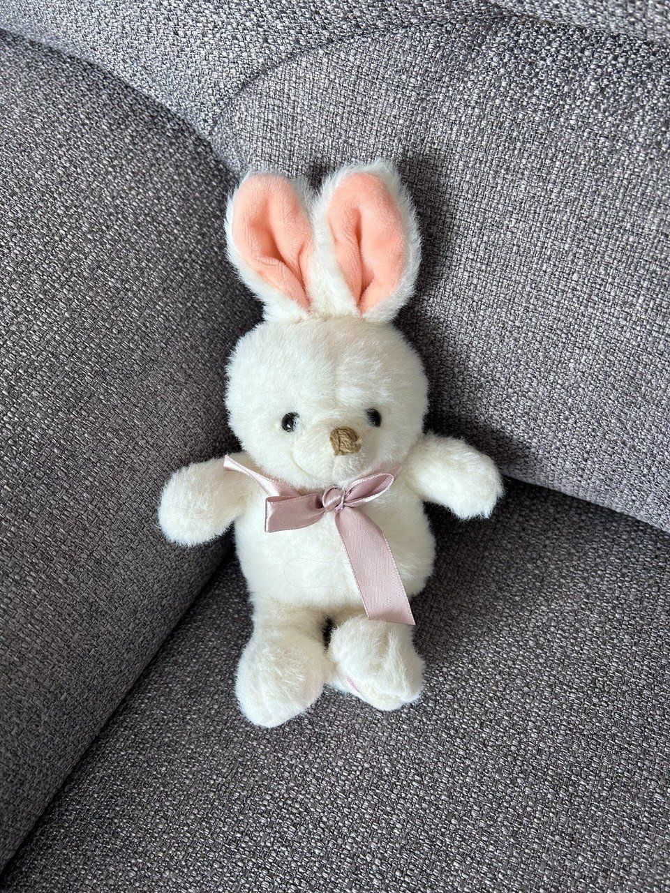 Giocattoli: Peluche coniglietto bianco – Usato da Giubiasco venduto da LorisVale