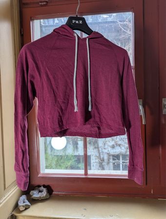 H&M Divided Cropped Hoodie in Burgundy