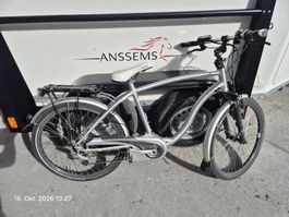  silbernes E-Bike der Schweizer Marke Flyer (C-Serie oder T-