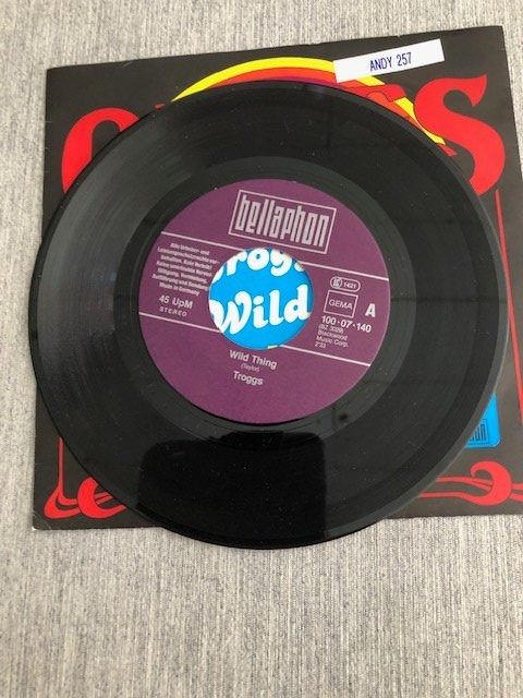 Dischi in vinile: The Troggs – Usato da Aarwangen venduto da Jukebox3 3