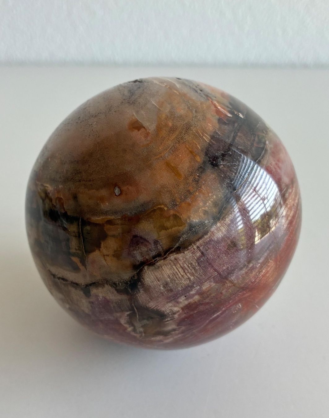 Fossilien: Kugel aus Versteinertem Holz – Gebraucht aus Bäretswil von robsonantik 2