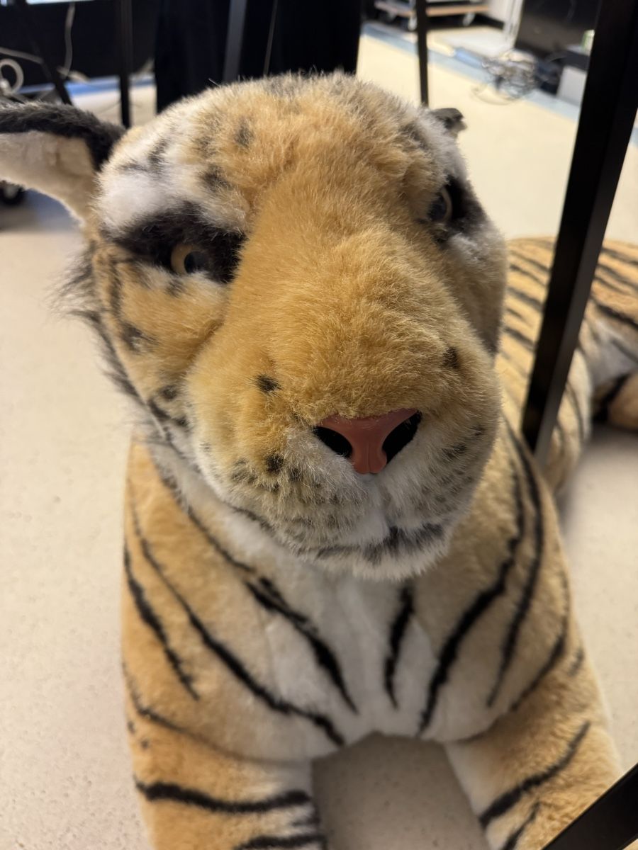 Statuette: Plüsch Tiger XXL – Usato da Zürich venduto da VZN 2