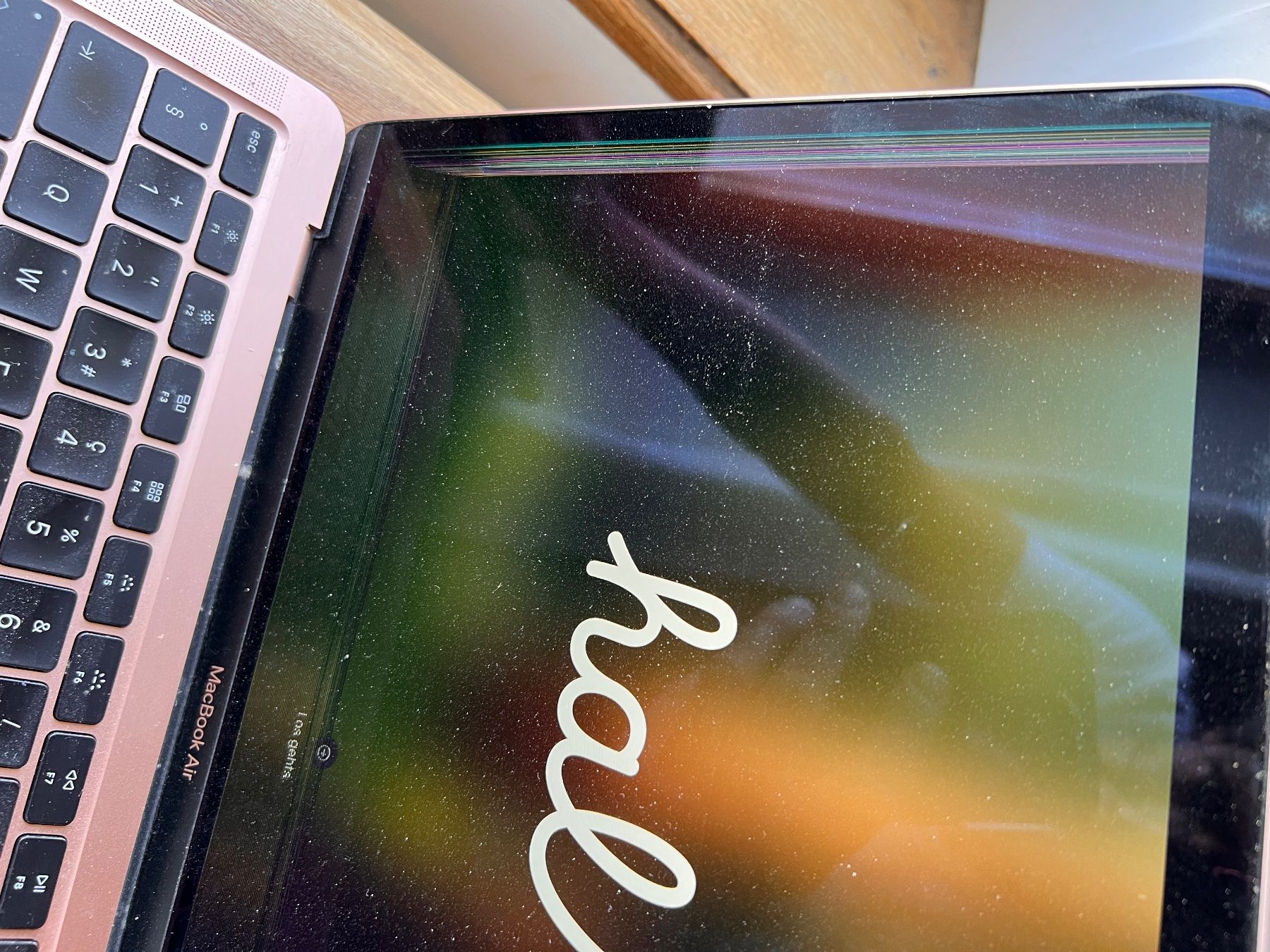 Apple Notebook: MacBook Air 13.3" Gold – Difettoso da Bottighofen venduto da dermueller 5