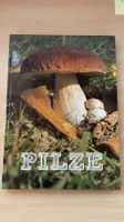 Pilze bestimmen und sammeln