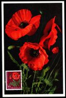Maximumkarte MK Blumen roter Mohn J180 PJ 1959 ET