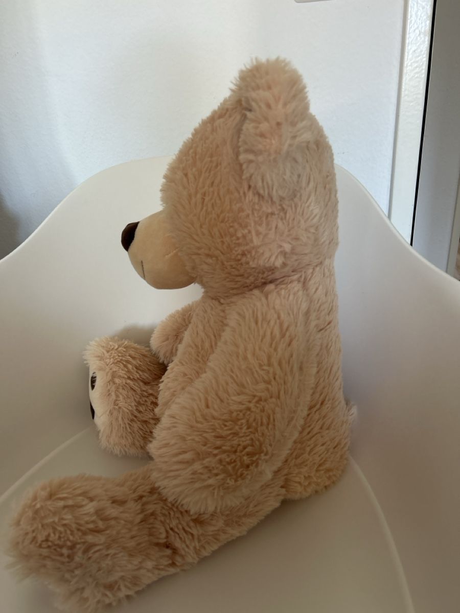 Spielzeuge: Teddybär  – Neu (gemäss Beschreibung) aus Winterthur von pol_x722 1