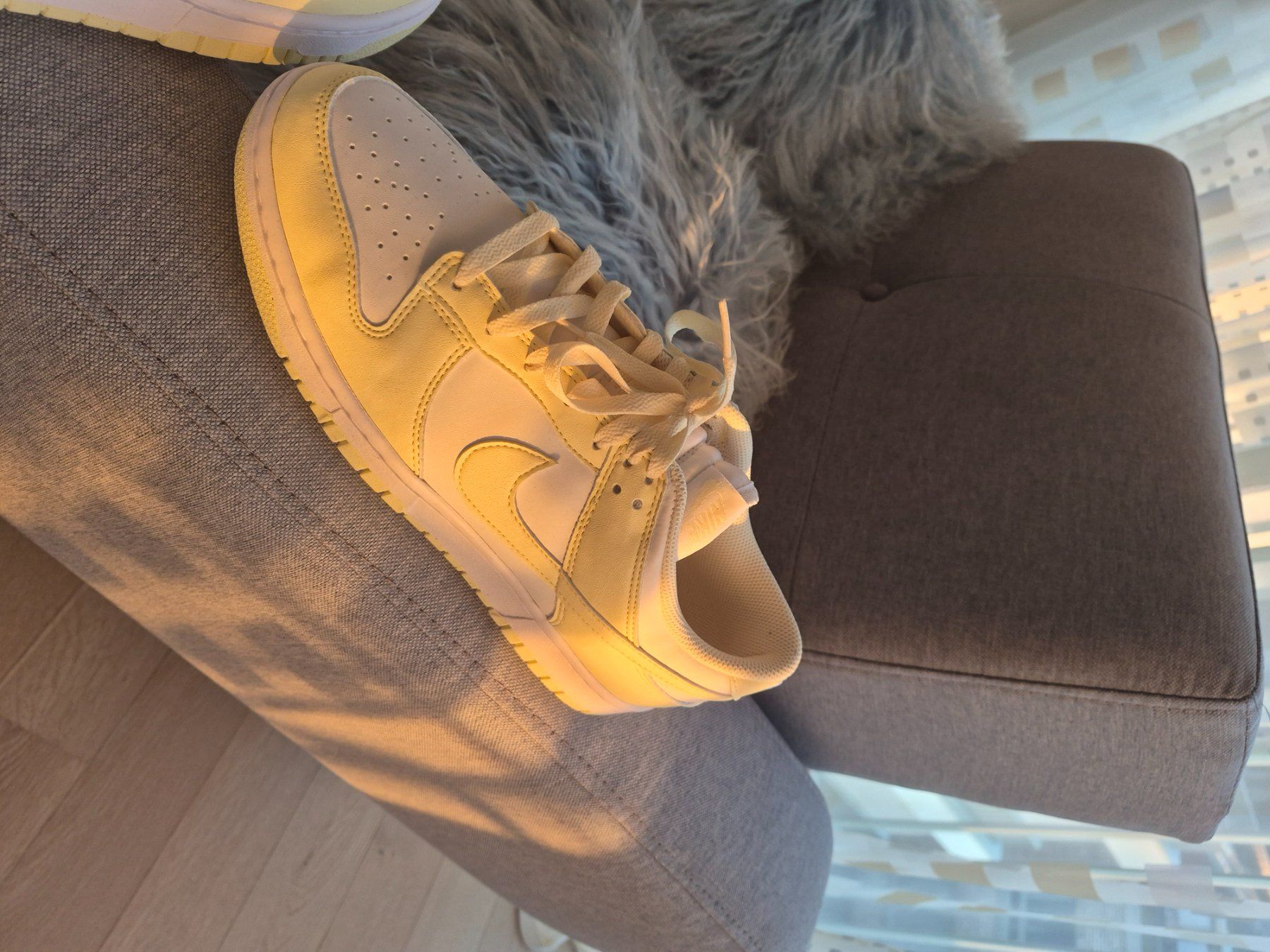 Nike Scarpe da uomo: Original Nike Dunk Low Pale Vanilla Gr. 42.5 – Nuovo e nell'imballaggio originale da Zürich venduto da osa_8phv 1