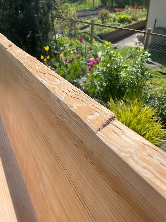 Panchine: Gartenbank Massivholz – Usato da Biglen venduto da Flug1234 2