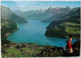 Ansicht Brunnen 1969