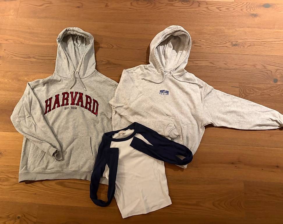 Maglioni & Felpe: Hoodies & Pulli – Usato da Oberdorf SO venduto da sel_wc6w