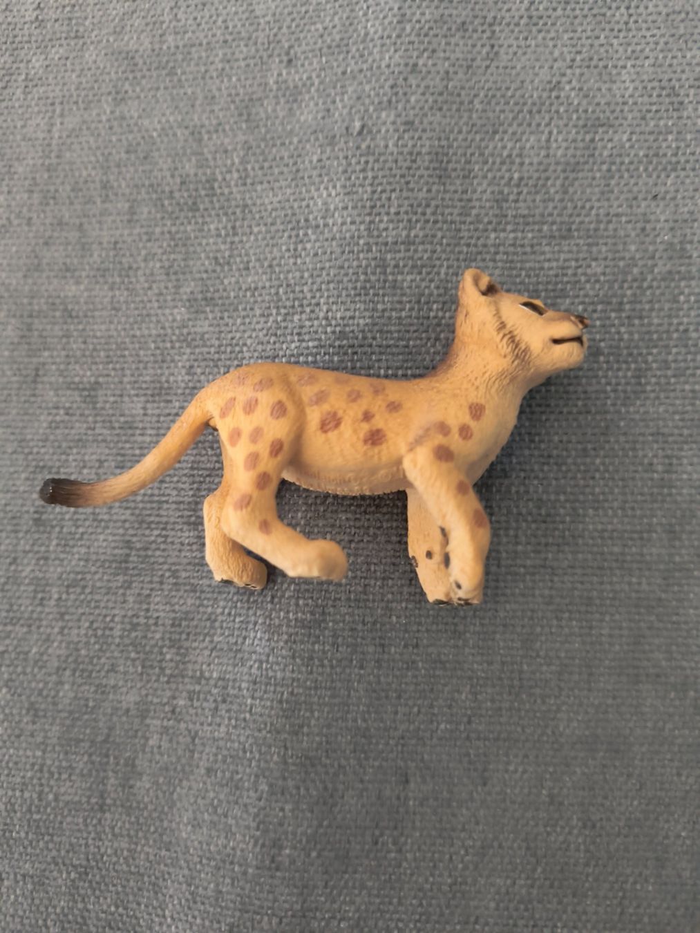 Schleich Figuren: Schleich Löwin, Gepard, Leopard, Wildkatze Welpe – Gebraucht aus Würenlingen von pjs-at-tutti