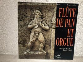 FLUTE DE PAN ET ORGUE